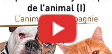 [Vidéo] Colloque La personnalité juridique de l'animal 
