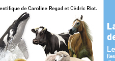 Colloque La personnalité juridique de l'animal (II) : les animaux liés à un fonds