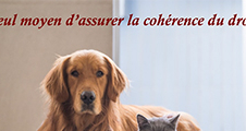 Colloque "La personnalité juridique de l'animal"