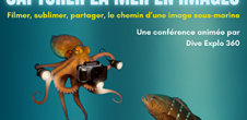 Conférence : Capturer la mer en images
