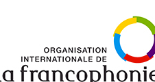 Volontariat international de la Francophonie : Candidature 2014