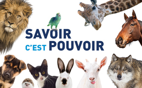 Diplôme d'Université Droit des Animaux - Ouverture des candidatures
