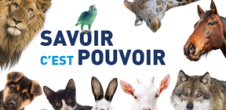 Diplôme d'Université Droit des Animaux - Ouverture des candidatures