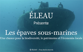 Projection du film documentaire Les épaves sous-marines, une chance pour la biodiversité, le patrimoine et l'économie locale