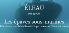 Projection du film documentaire Les épaves sous-marines, une chance pour la biodiversité, le patrimoine et l'économie locale