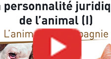 [Vidéo] Colloque La personnalité juridique de l'animal 