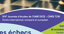 XIVe Journée d'études de l'UMR DICE - CNRS 7318 : Les échecs normatifs 