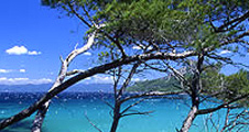 ERMITES 2014 IX Advanced Multimodal Information Retrieval int'l summer school