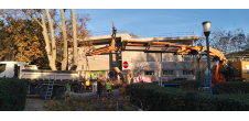 Opération abattage de platanes sur le campus de La Garde