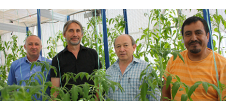 Une serre agricole expérimentale pour optimiser les micro-climats