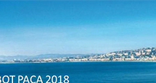 Workshop Robot Paca 2018
