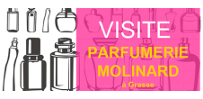 Etudiants internationaux : Visite de Grasse et St Paul de vence