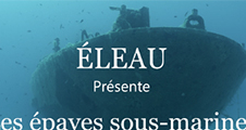 Projection du film documentaire Les épaves sous-marines, une chance pour la biodiversité, le patrimoine et l'économie locale