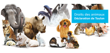 Droit des Animaux : Toulon répond à Cambridge le 29 mars 2019