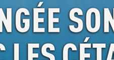 Exposition temporaire : Plongée sonore avec les cétacés