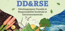 Rencontres du Développement Durable - 2e édition