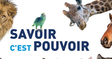 Diplôme d'Université Droit des Animaux - Ouverture des candidatures