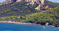 Etudiants internationaux : weekend à Porquerolles