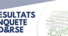 Résultats de l'enquête DDRSE 2025 menée auprès des personnels