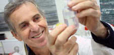 Le Pr Yves Lucas honoré par l'Académie brésilienne des Sciences