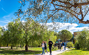 L'Université de Toulon adopte à l'unanimité son Schéma directeur DD&RSE 2025-2030