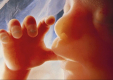 [CP] Ouverture du Diplôme d'Université : Accompagner de la procréation à la naissance