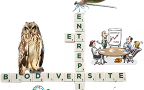 [CP] Entreprises et Protection de la biodiversité